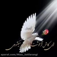 کلیپ پنجشنبه های دلتنگی / پنجشنبه که میشود
