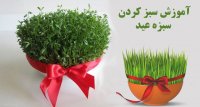 آموزش درست کردن سبزه عید