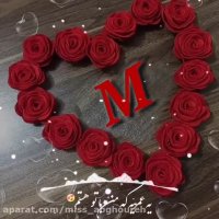 کلیپ ولنتاین _ ولنتاین مبارک عشقم M