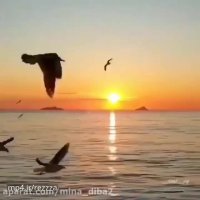 کلیپ زیبا برای وضعیت واتساپ - متن نوشته قشنگ